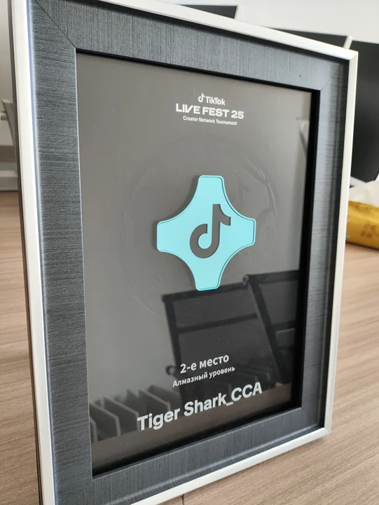 Award 3
